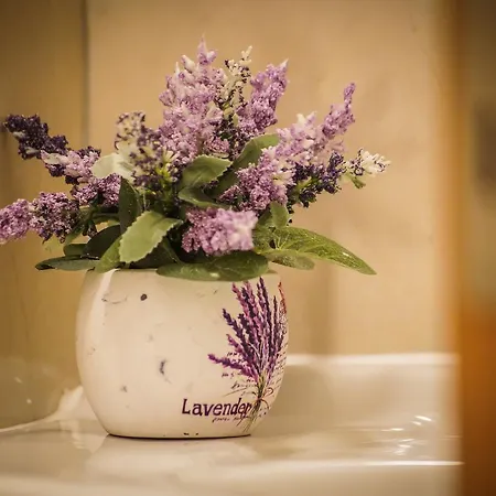 Grepo Sljeme * מאקרסקה