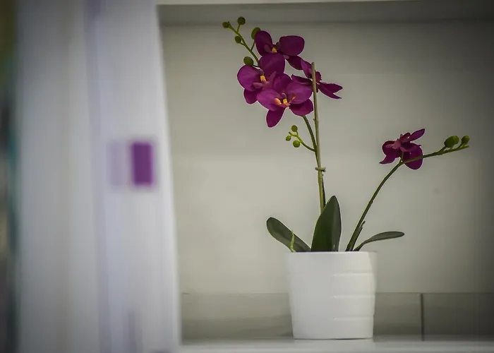 Grepo Sljeme Makarska