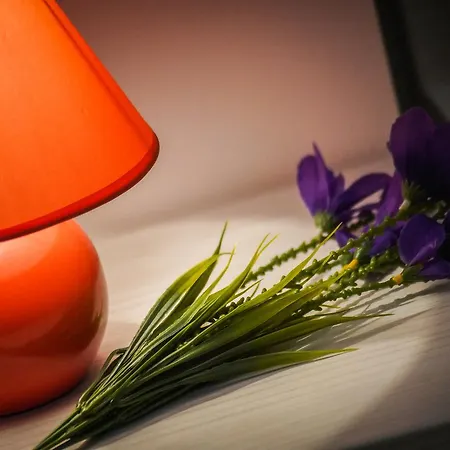 Grepo Sljeme Apartment Makarska