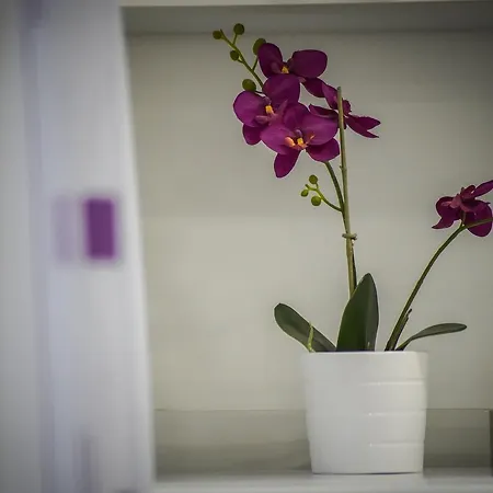 Grepo Sljeme Makarska